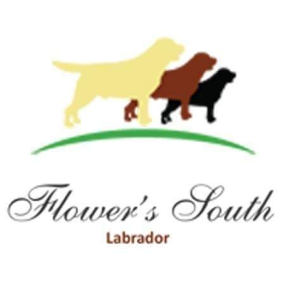 Flower's South Logo