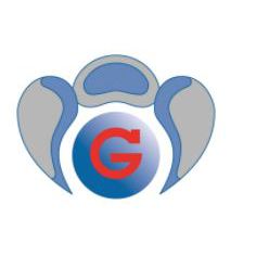 Grapner SA Logo