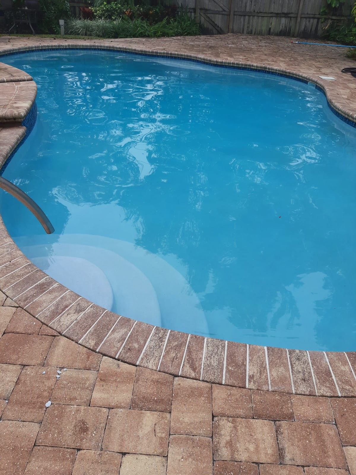 Curved backyard swimming pool with clear blue water, built-in entry steps, and surrounding brick paver decking.