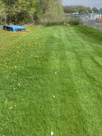 Images Southern Minnesota LawnWorks LLC
