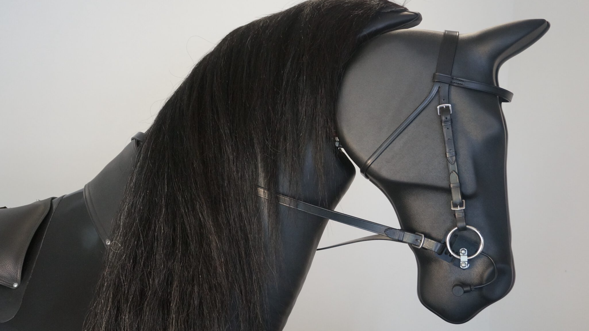 Bilder Reitsimulator - Reiten in Balance