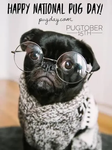 Image of Local Pet Event National pug day! Nearby