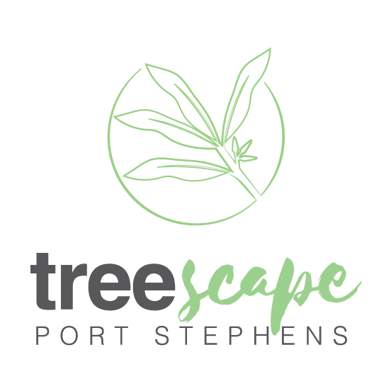 Treescape Accommodation & Camping Logo