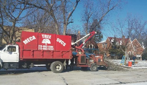 Images Meca Tree Service