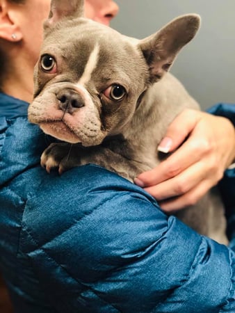 Images West Side Veterinary Hospital