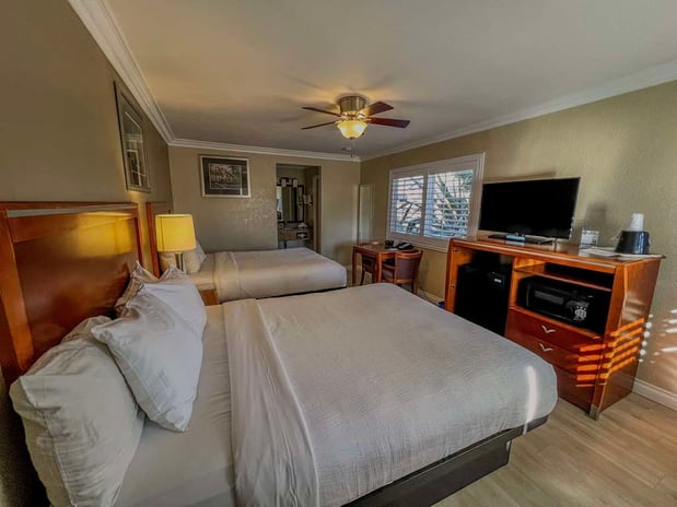 Images Best Western Tradewinds