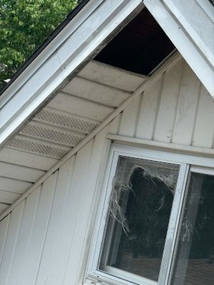 OGS Roofing and Restoration Image