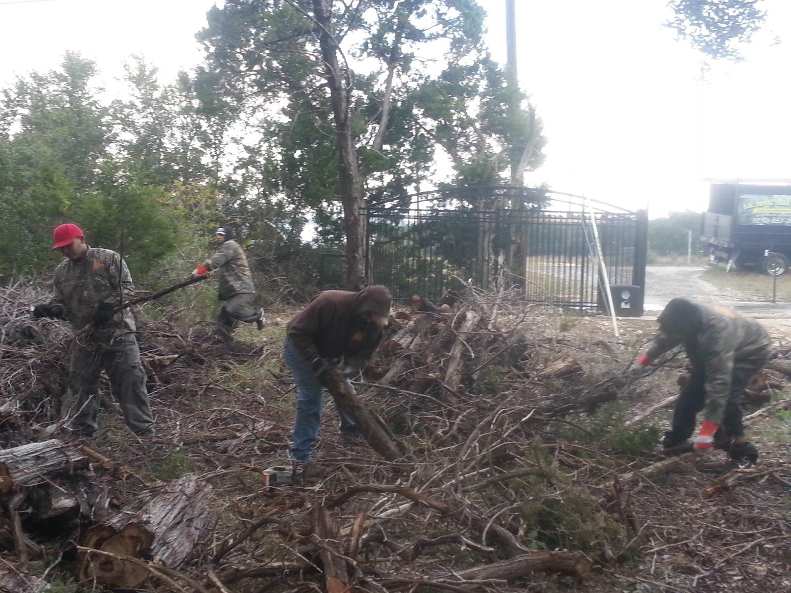 SA Total Tree Service Photo