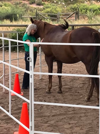 Images Sylvan Dale Guest Ranch & Wedding Venue