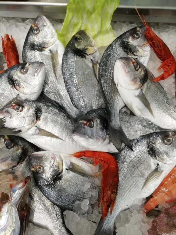 Images Prontomar Srl - Pescheria e Gastronomia