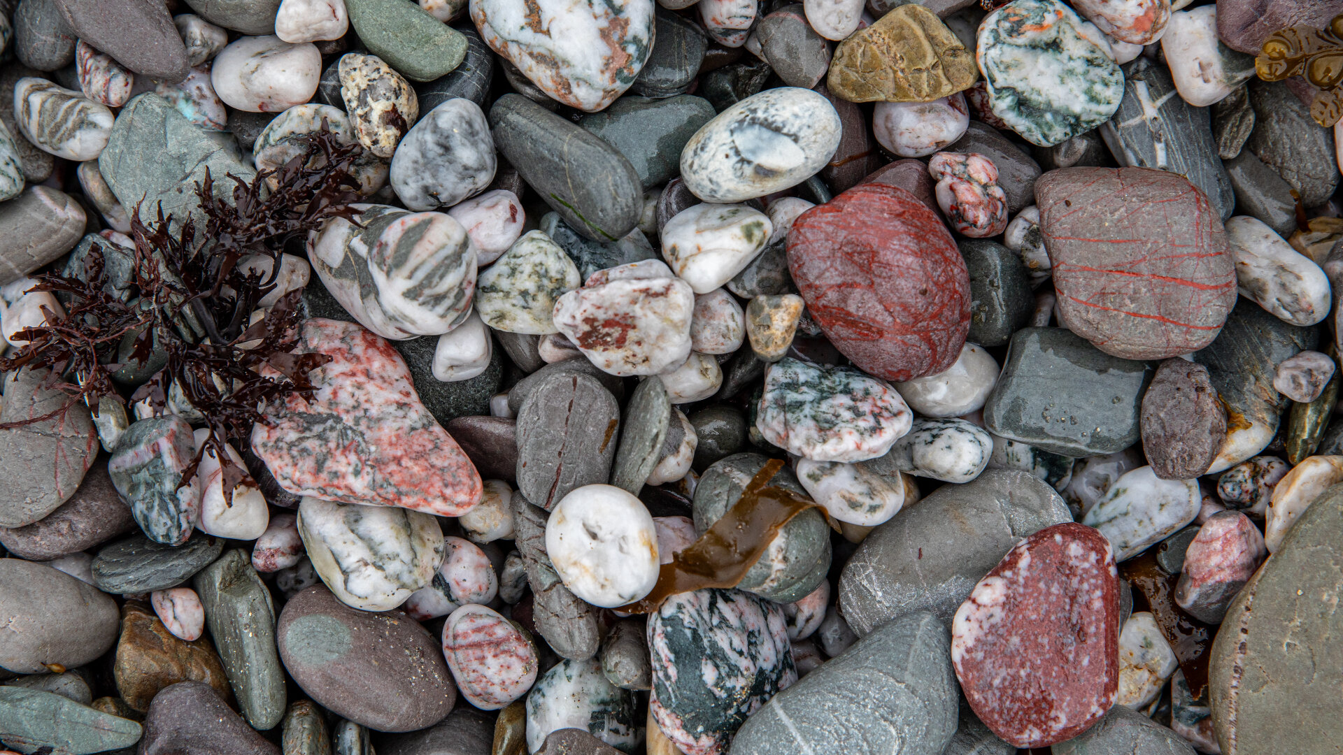 Images Inn On The Shore