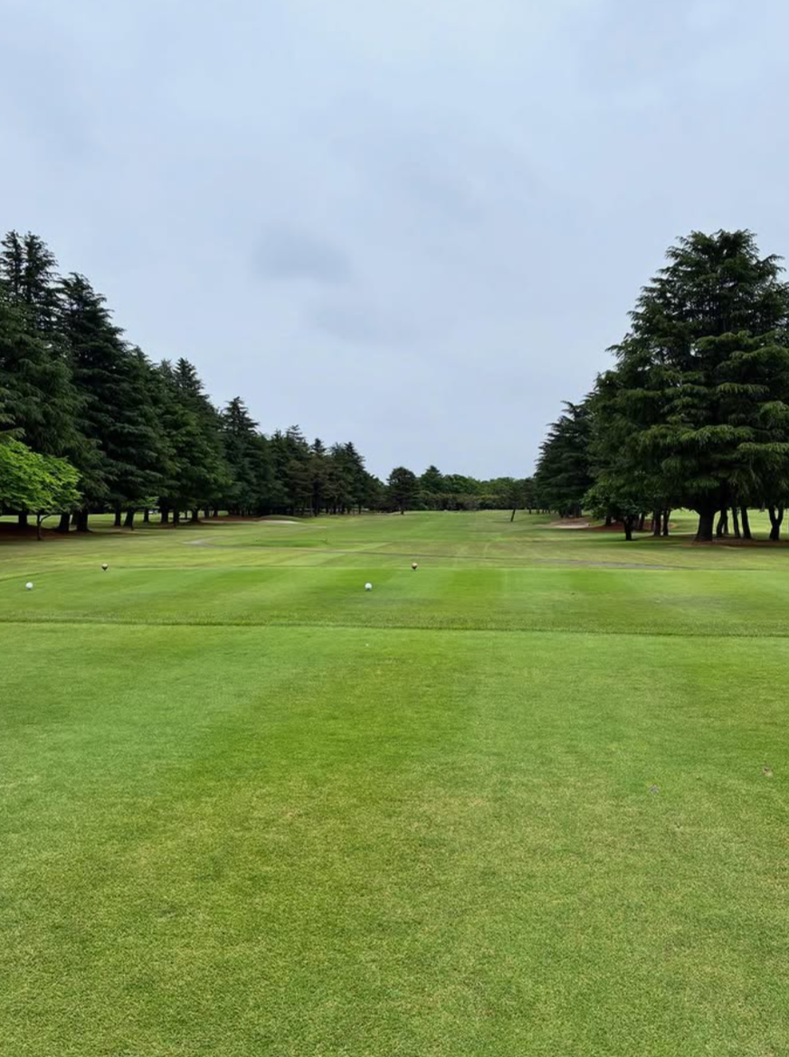 Images VZONEGOLF