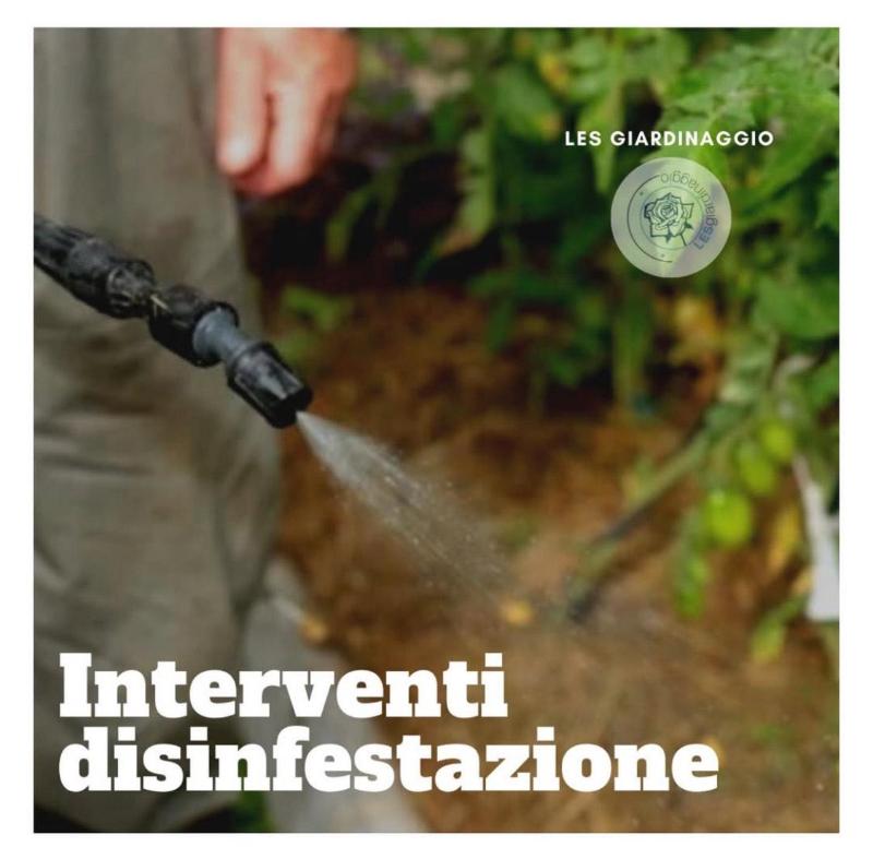 Images Les Giardinaggio