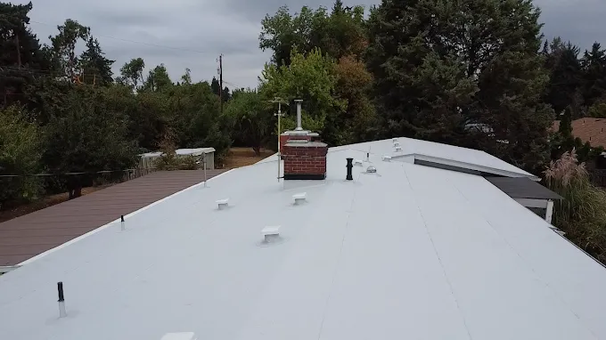 Roof Protector & Construction Image