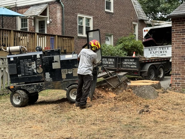 Images Keil Tree Experts Inc