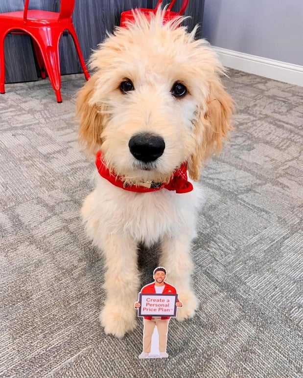 Images Savannah Bur - State Farm Insurance Agent