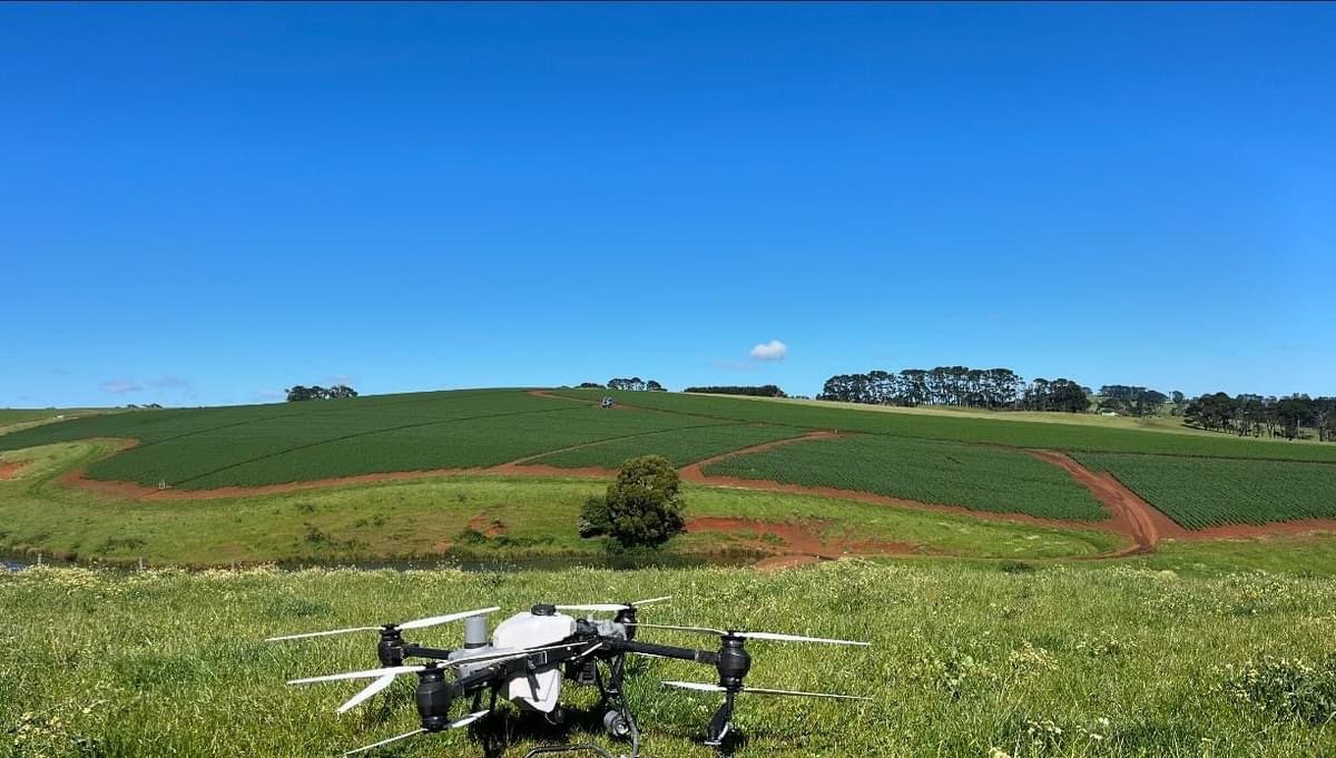 Images Gippsland Agricultural Drone Spraying & Contracting