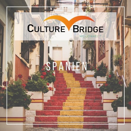 Bilder Culture Bridge Education