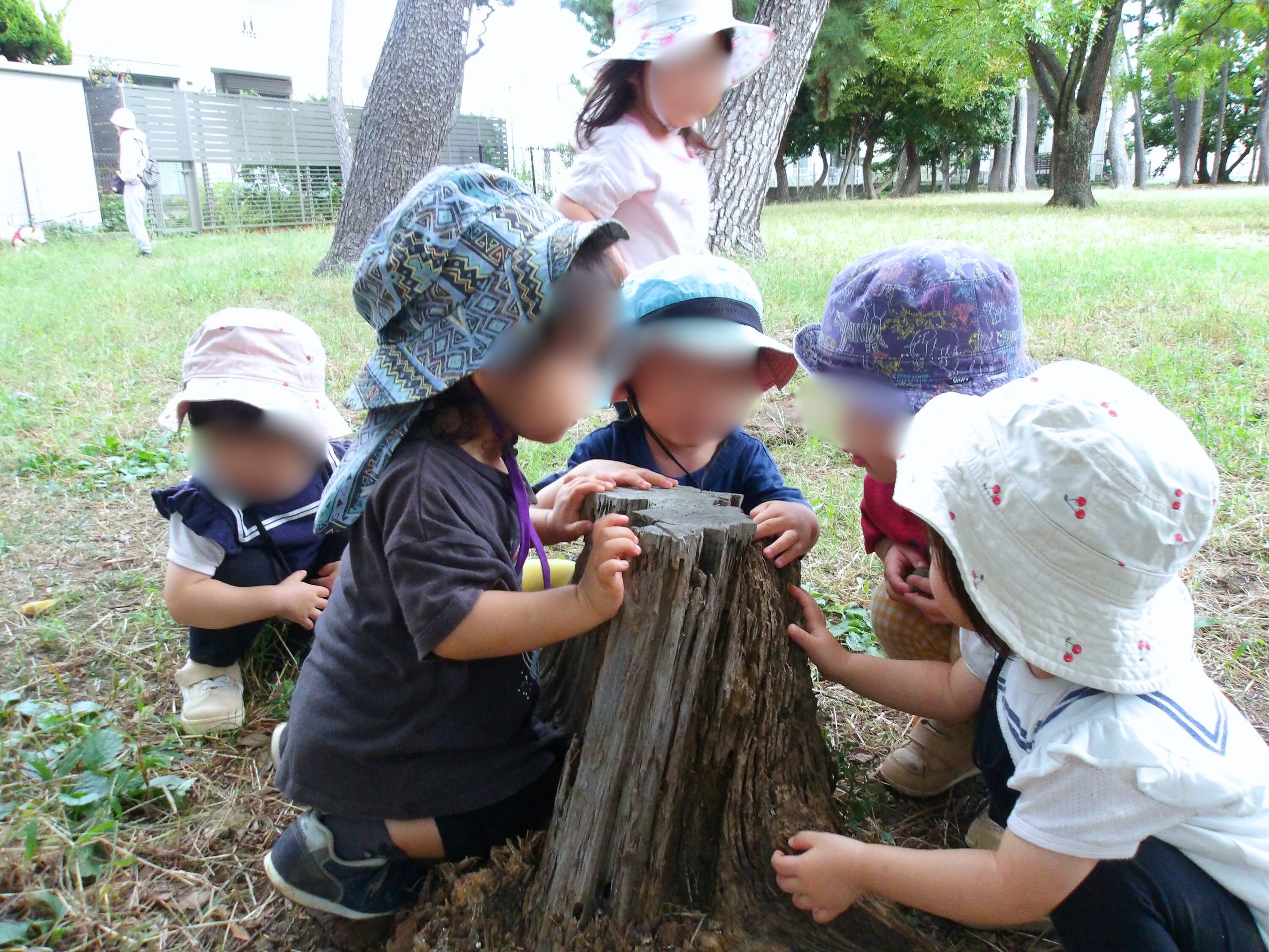 Images 辻堂すきっぷ保育園