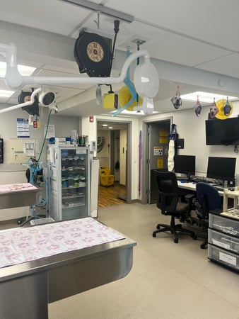 Images VCA Castle Shannon Animal Hospital