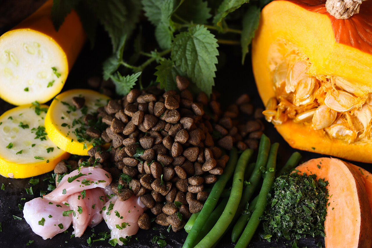 Bilder Green Pet Shop