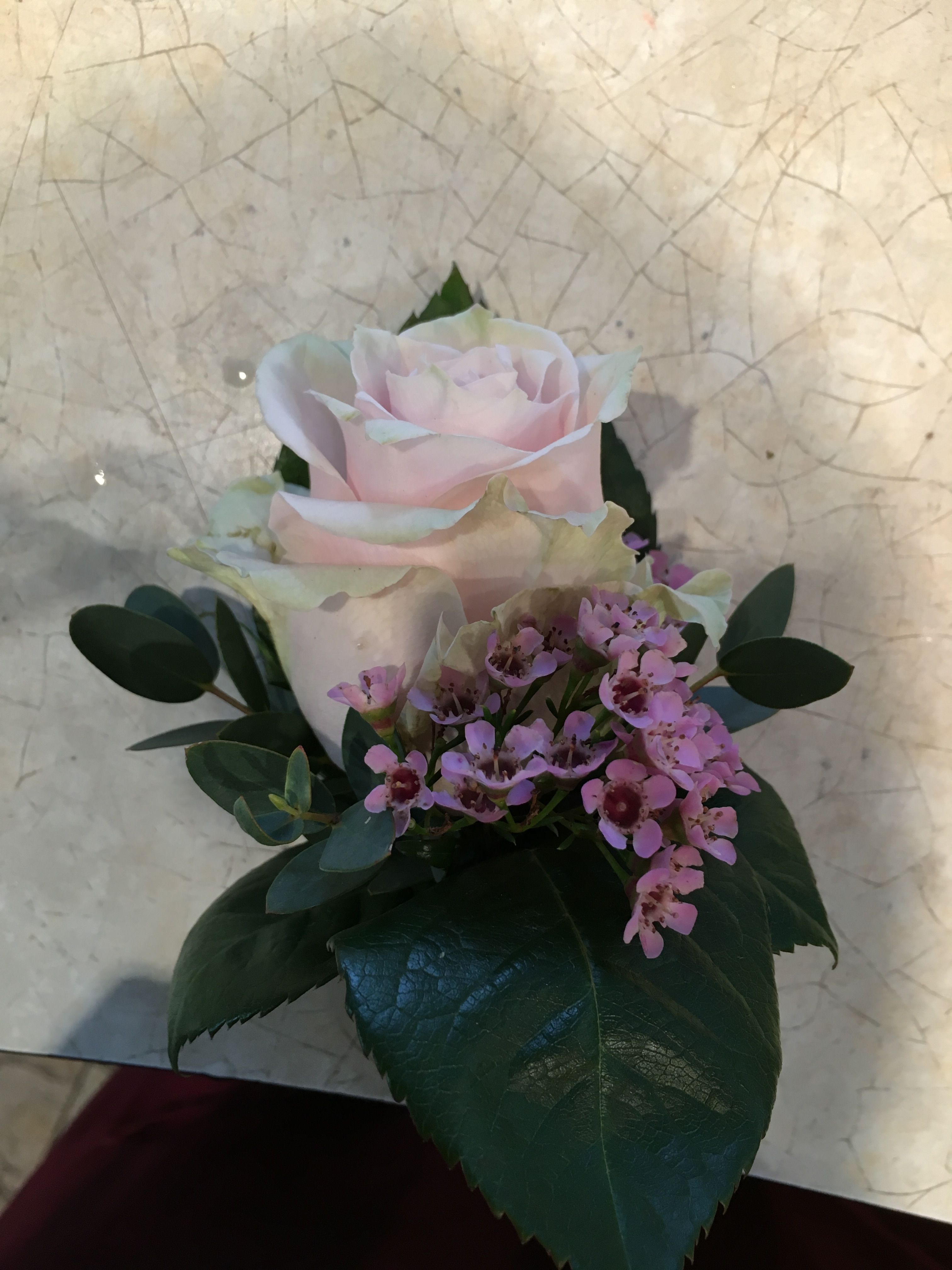Kundenbild groß 14 Florist | Blumen Zettl | München
