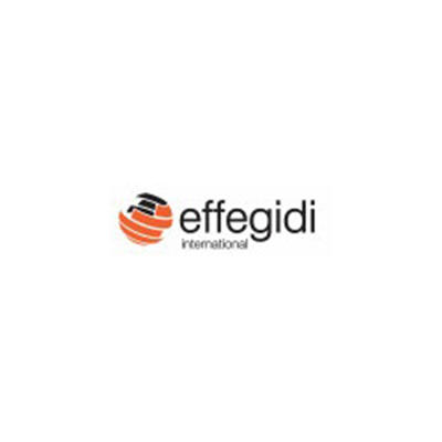 Effegidi International Logo