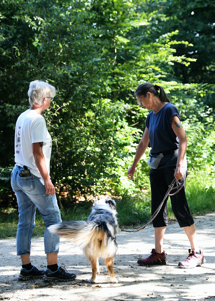 Manu´s Hundeschule auch für schwierige Hunde, Hauendorf 7 in Emtmannsberg