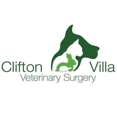 Clifton Villa Veterinary Surgery - Truro - Truro, Cornwall TR1 3HJ - 01872 273694 | ShowMeLocal.com