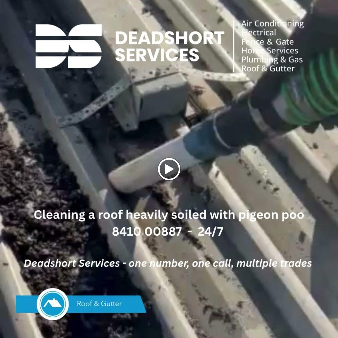 Images Deadshort Services