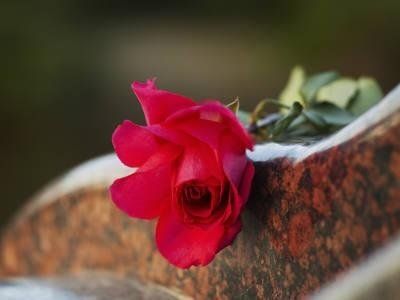 Images Agenzia Funebre Humanitas di Befo Felice