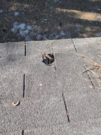 Images Roof Now