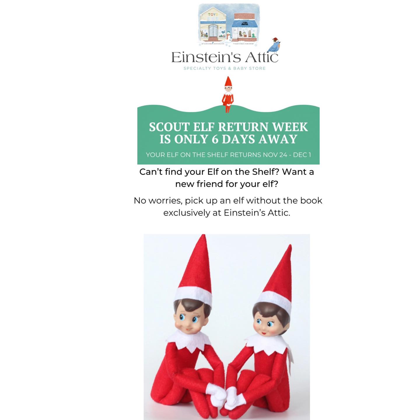 Einstein’s Attic
79 Main Street, Northport & 267 Main Street, Huntington
https://shopeinsteinsattic.com/collections/elf-on-the-shelf