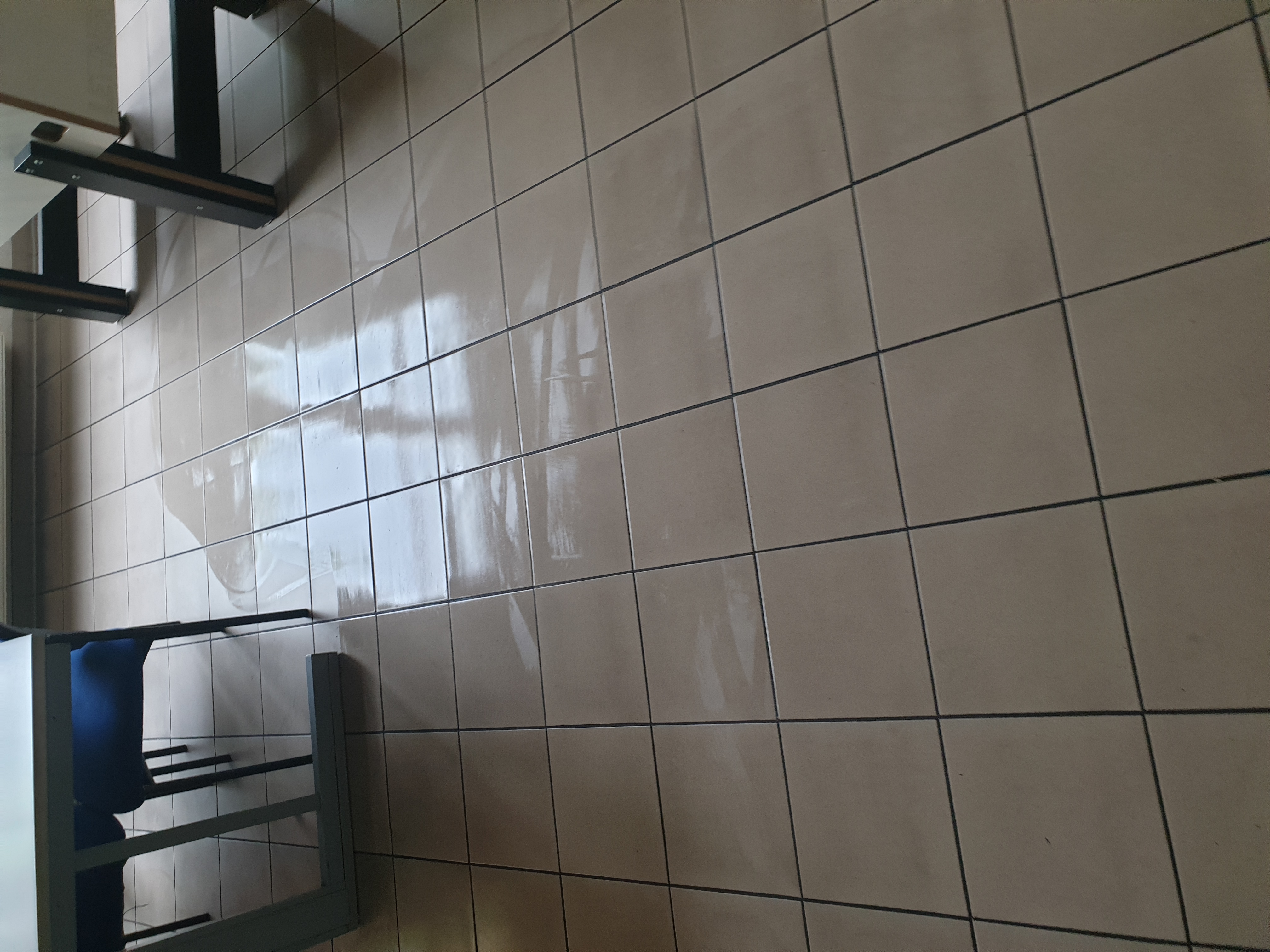 Gebäudereinigung Fischer GmbH, Brunnenstr 18 in Böblingen