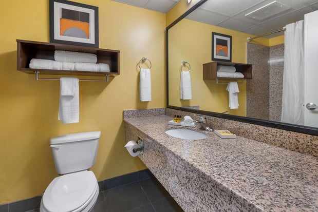 Images Best Western Plus Suites-Greenville