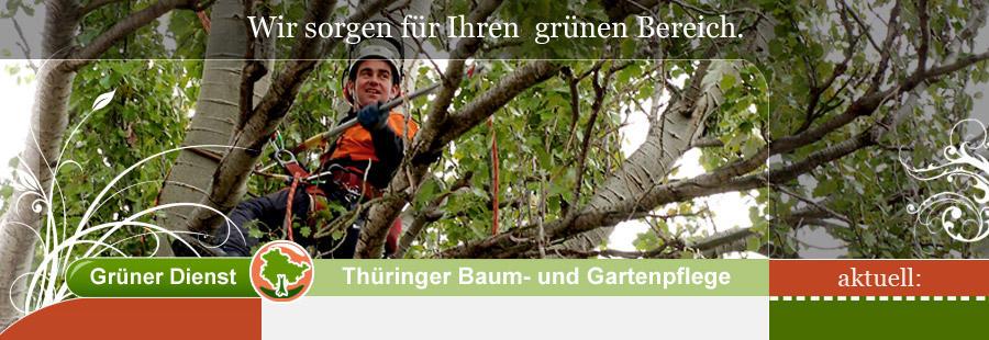 Bilder GRÜNER DIENST - Baumpflege