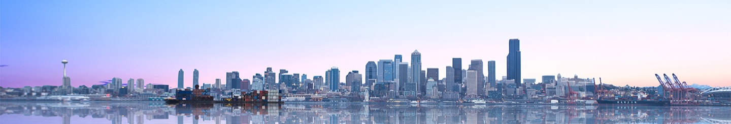 Seattle Skyline