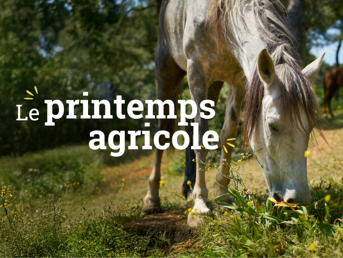 Le printemps agricole