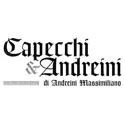 Capecchi e Andreini Restauro Mobili Antichi Logo