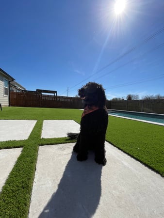 Images Waterloo Turf Austin