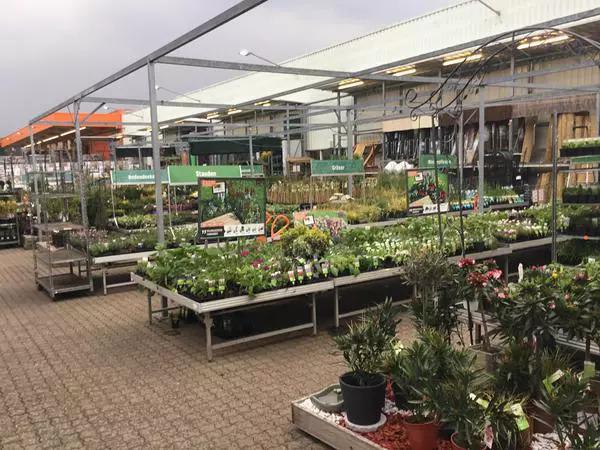 Fotos - OBI Markt Crailsheim - 100