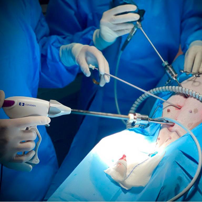 Bilder VET Chirurgie & Diagnostik - Dr. Mario Sauer