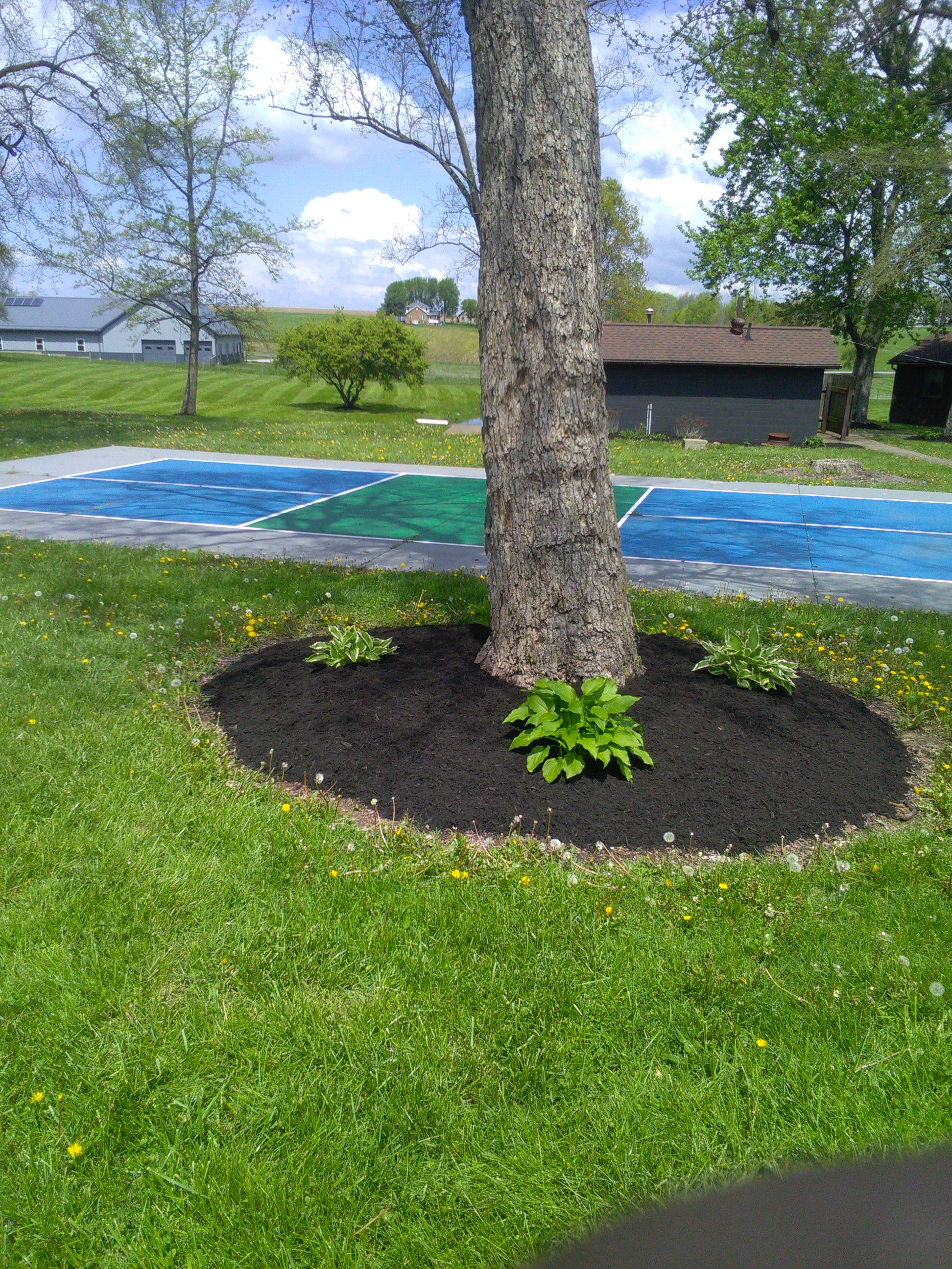 Working with fellow family-owned business, Kaufman Mulch in Millersburg, allows Steven to offer a wide selection and trusted quality. He guides homeowners and business owners to select the color and shred to best complement any building.