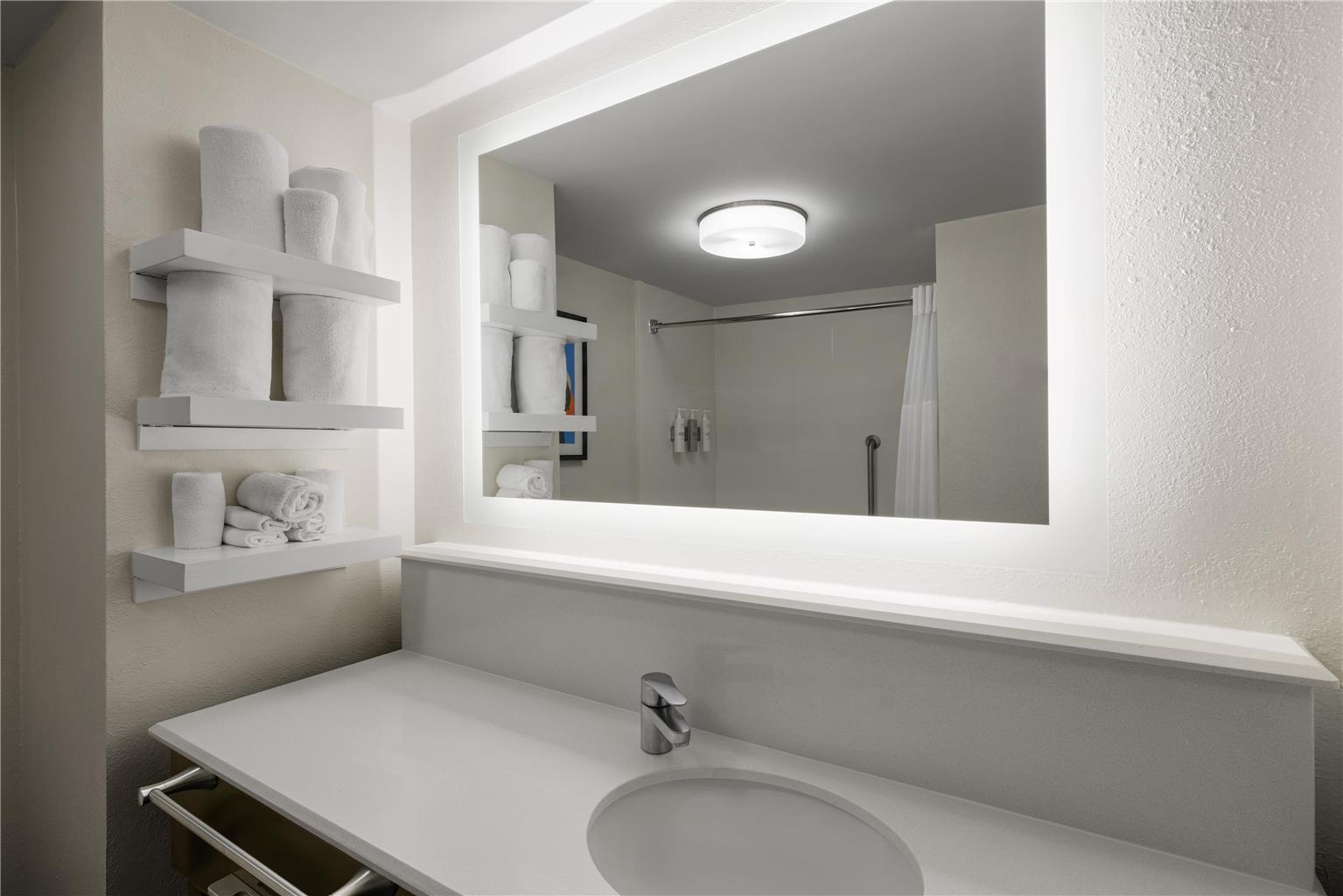Guest room bath 