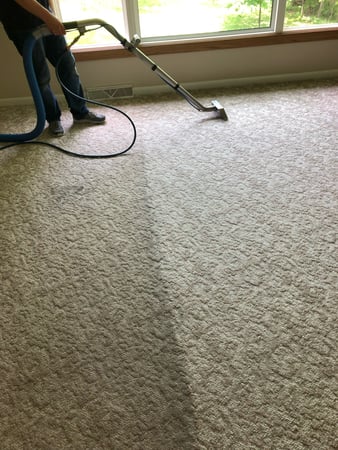 Images Apex Professional Cleaning Systems