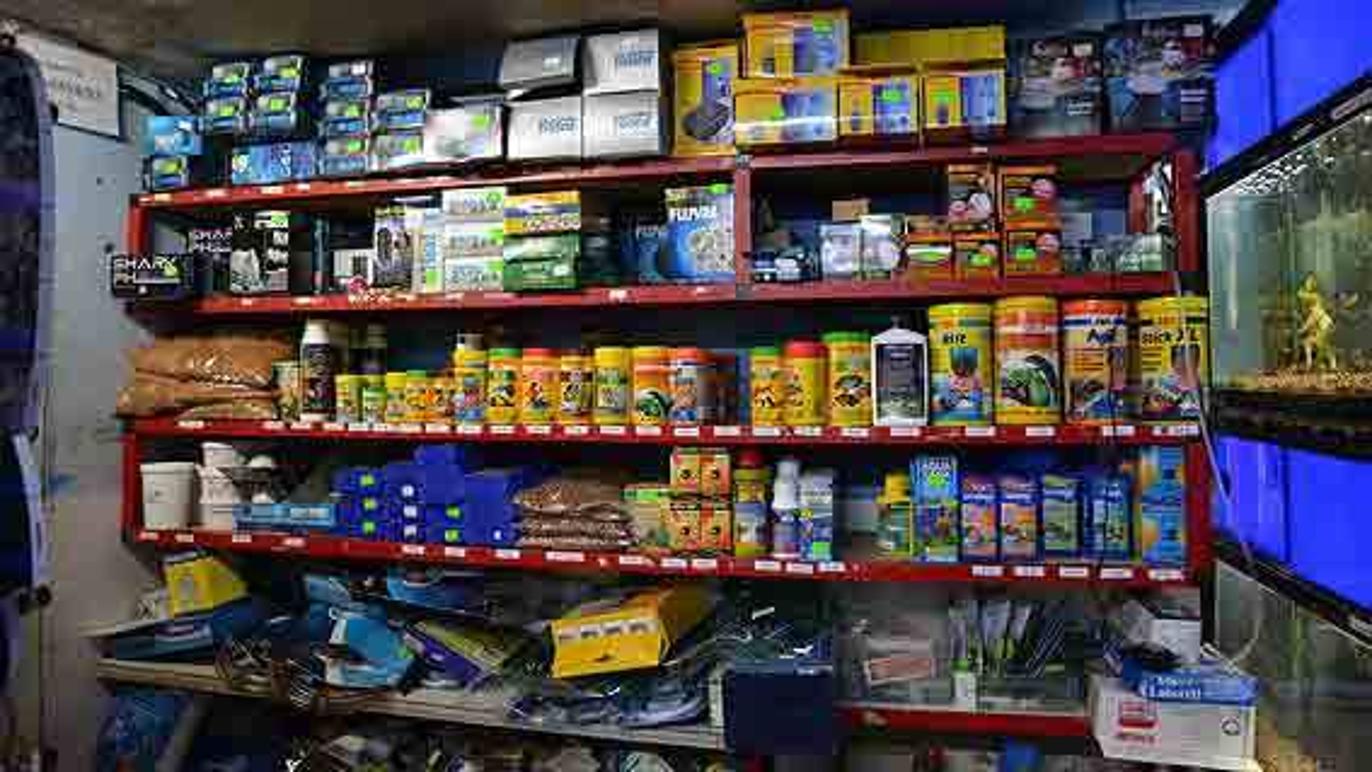 Images Fugle & Dyrehandler Arnfred M Madsen