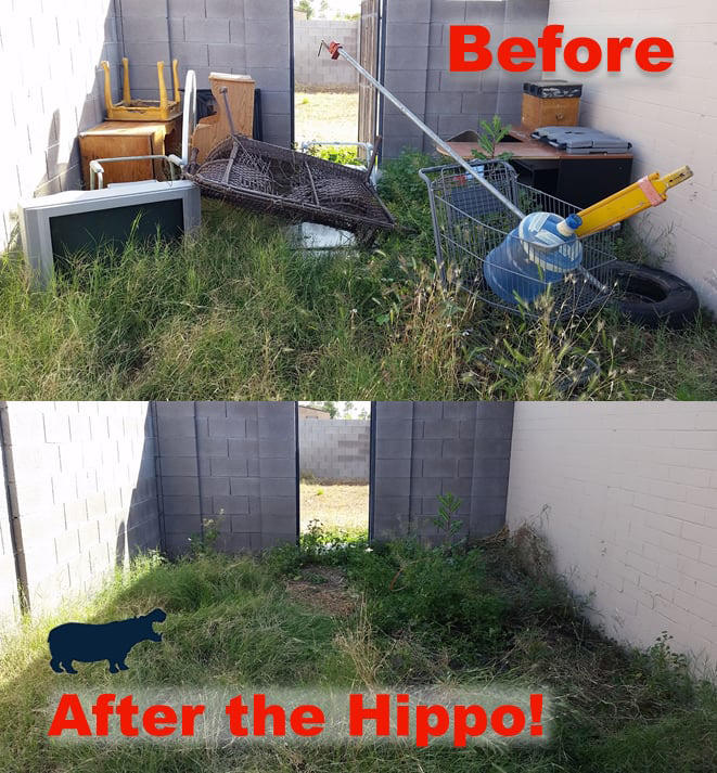 Best Junk Removal Photo