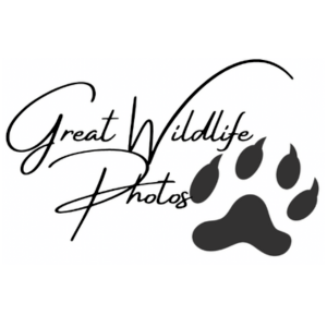 Great Wildlife Photos Logo