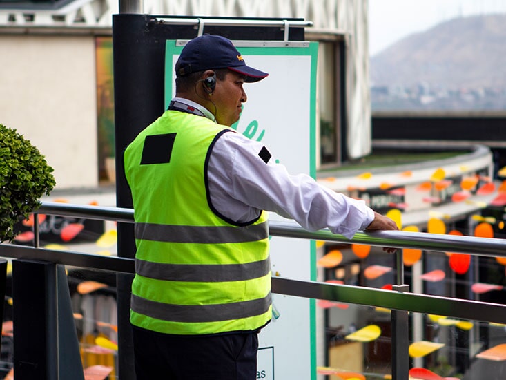 Images Seguridad Privada Boru