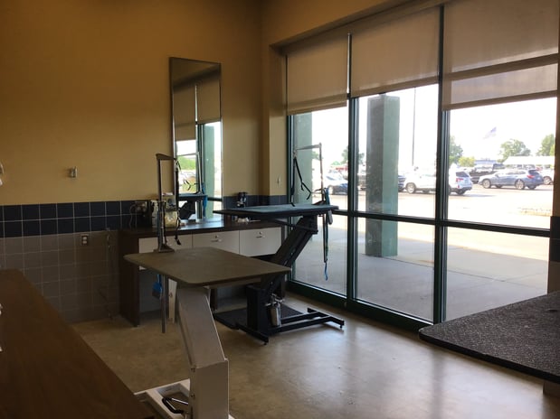 Images Petco Grooming